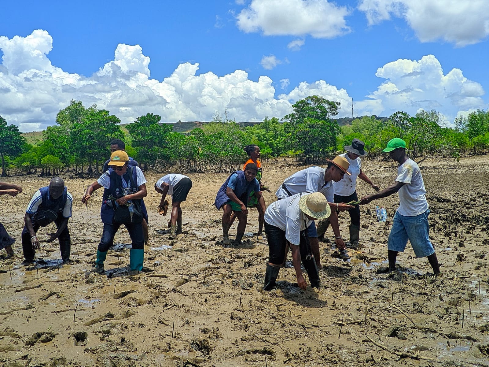 Près de 7 000 mangroves plantées à Andampy !